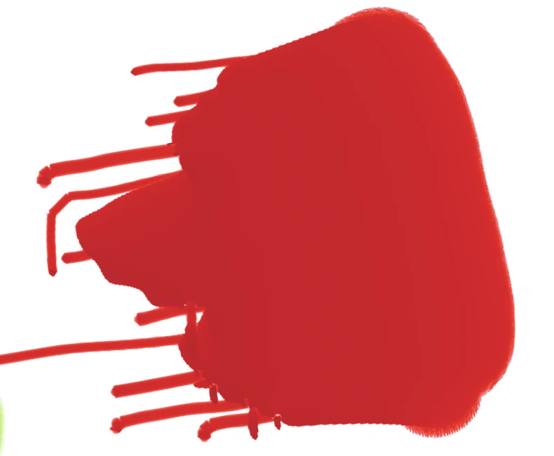 Close-up of a red patch of paint with thin drips running out of its left edge.